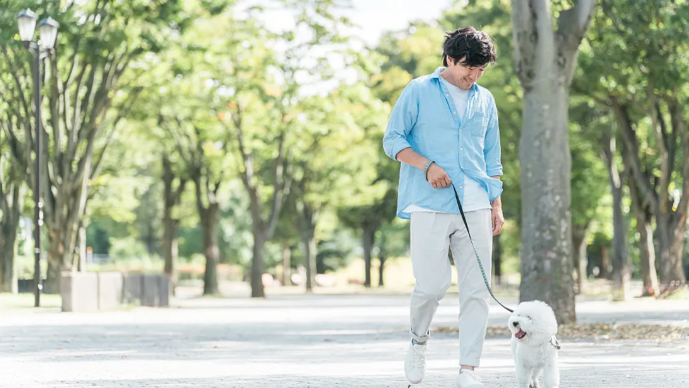 ペットの散歩をする男性